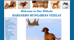 Desktop Screenshot of habanerovizslas.com