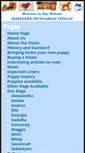 Mobile Screenshot of habanerovizslas.com