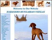 Tablet Screenshot of habanerovizslas.com